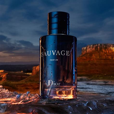 dior sauvage parfum spray men|cheapest sauvage dior for men.